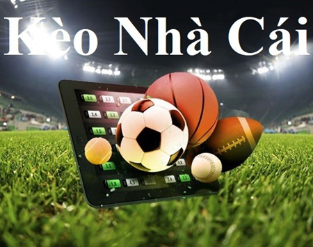okvip-Sống chất lượng với trực tiếp bóng đá!