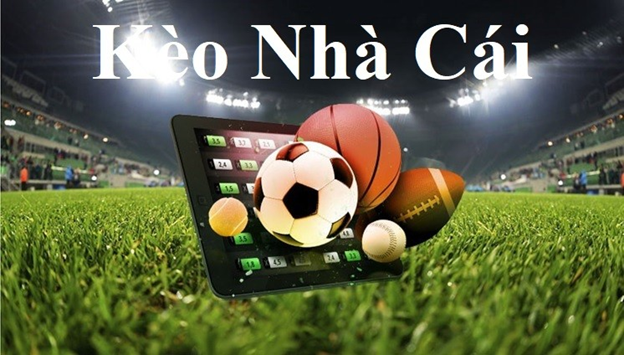 okvip-Sống chất lượng với trực tiếp bóng đá! okvip-Sống chất lượng với trực tiếp bóng đá!