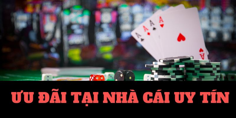 vic danh bai doi thuong Wanbo Manbetx vic danh bai doi thuong Wanbo Manbetx